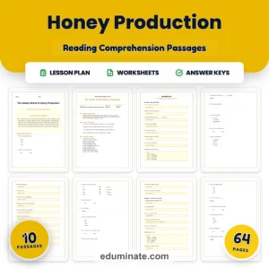 Insects Reading Comprehension Bundle | Bees, Ants, Butterflies and Spiders page 5