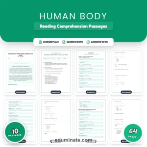 Human Body Worksheets Bundle | Nutrition, Body Systems, Sleep and First Aid page 2