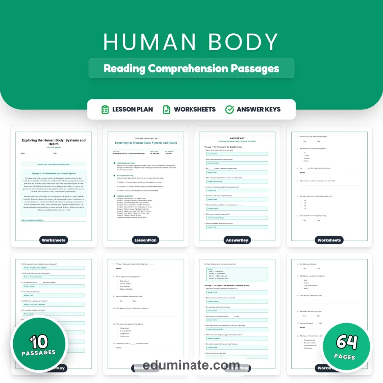 Human Body Worksheets Bundle | Nutrition, Body Systems, Sleep and First Aid cover 2