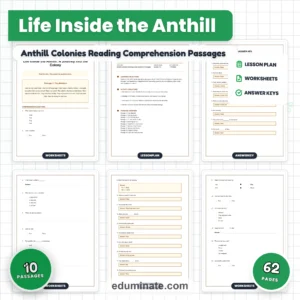 Insects Reading Comprehension Bundle | Bees, Ants, Butterflies and Spiders page 3