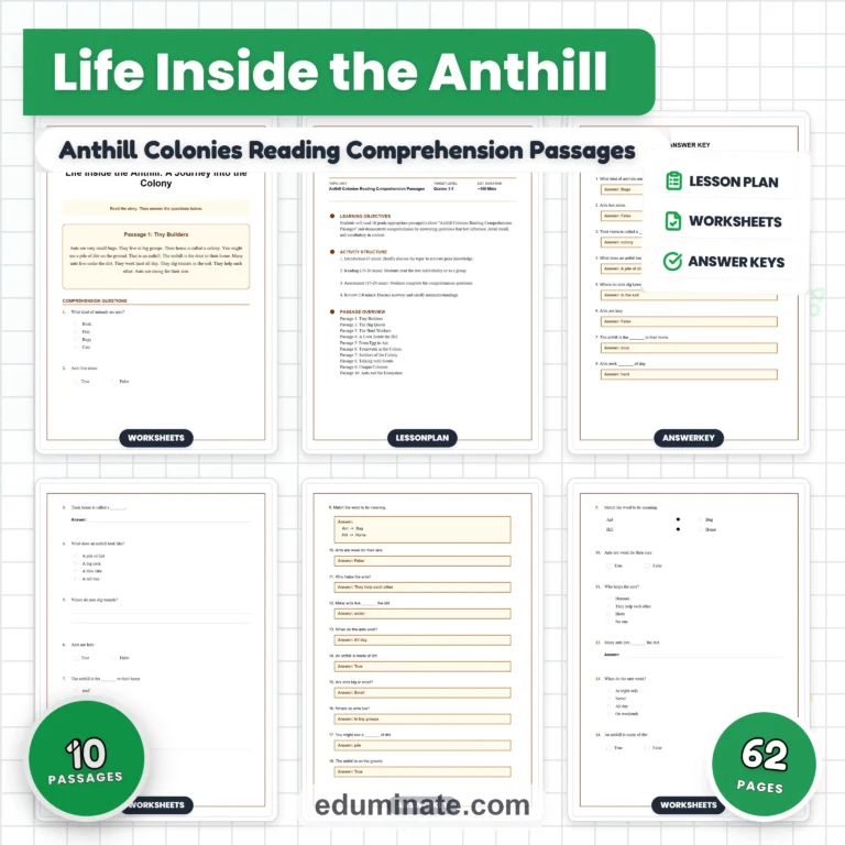 Insects Reading Comprehension Bundle | Bees, Ants, Butterflies and Spiders cover 3
