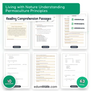 Middle School Worksheets Bundle | Grammar and Reading Packs, Grades 6-8 page 1
