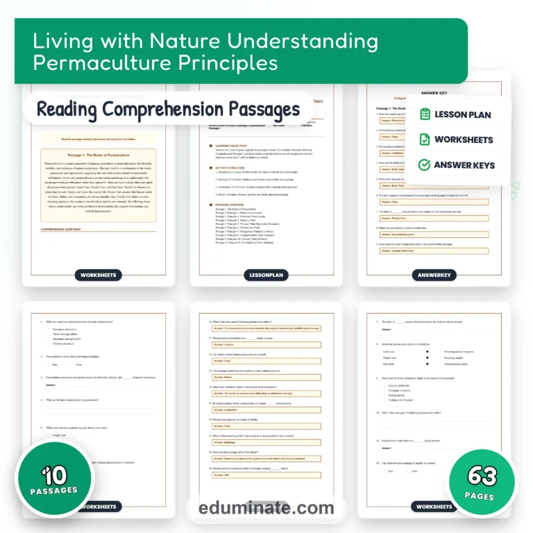 Middle School Worksheets Bundle | Grammar and Reading Packs, Grades 6-8 cover 1