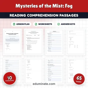 Weather Reading Comprehension Bundle | Rain, Tornadoes, Snow and the Water Cycle page 6