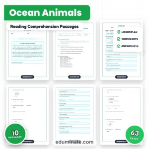 Ocean Worksheets Bundle | Whales, Coral Reefs, Tide Pools and Shipwrecks page 1