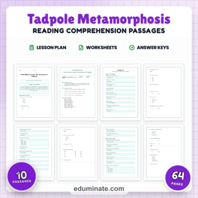 Tadpole Metamorphosis Reading Comprehension Passages Worksheets Grades 1 to 5 — resource cover