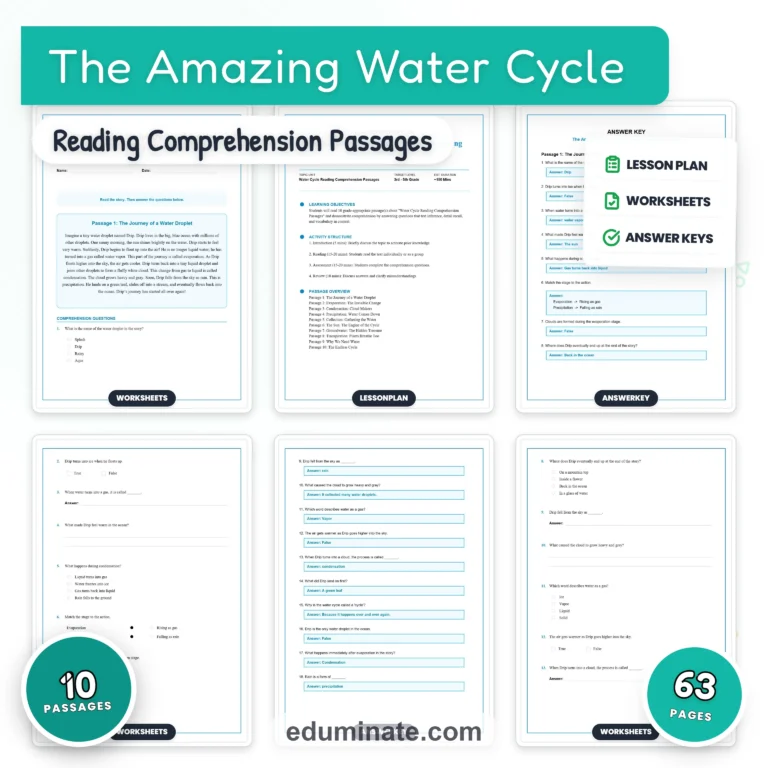 3rd Grade Worksheets Bundle | Reading Passages and Grammar Packs cover 7