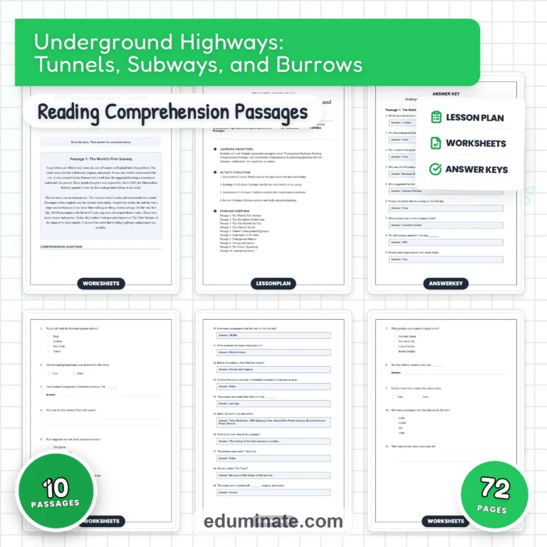 Transportation Reading Passages Bundle | Flying Taxis, Maglev Trains and Self-Driving Cars cover 6