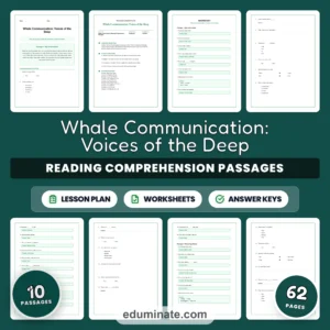 Ocean Worksheets Bundle | Whales, Coral Reefs, Tide Pools and Shipwrecks page 3