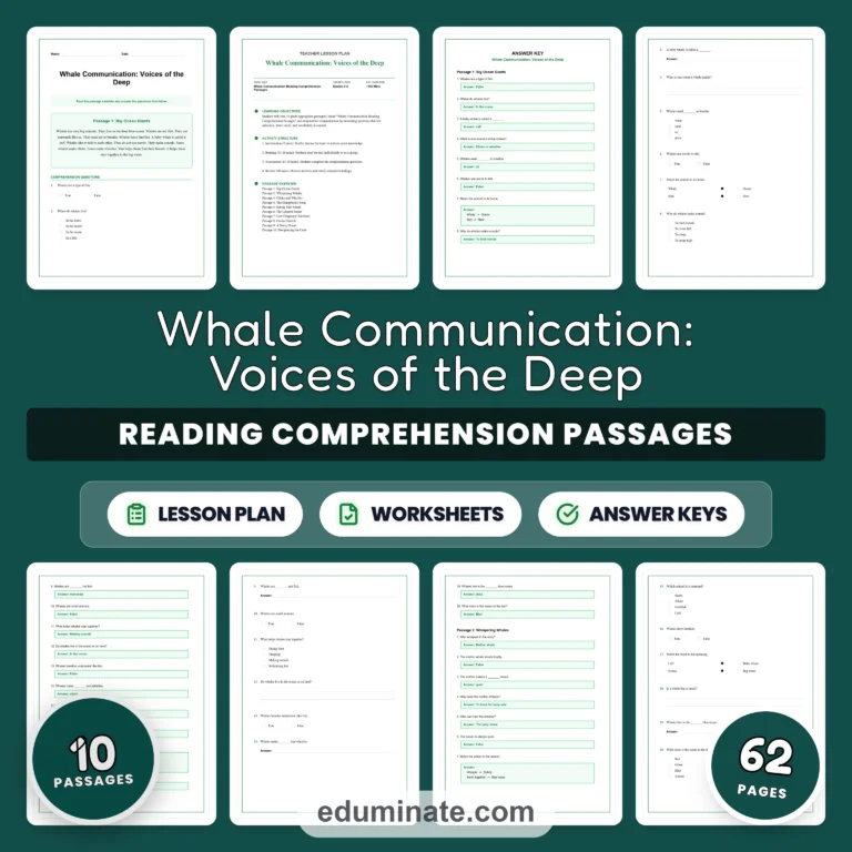 Ocean Worksheets Bundle | Whales, Coral Reefs, Tide Pools and Shipwrecks cover 3