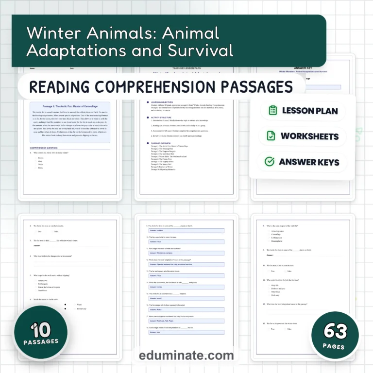 Winter Reading Comprehension Bundle | Winter Passages for Grades 1 to 5 cover 5