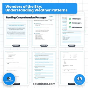 3rd Grade Worksheets Bundle | Reading Passages and Grammar Packs page 8